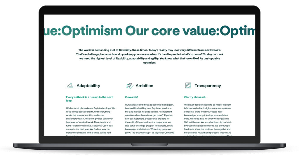 Biller Website snippets7