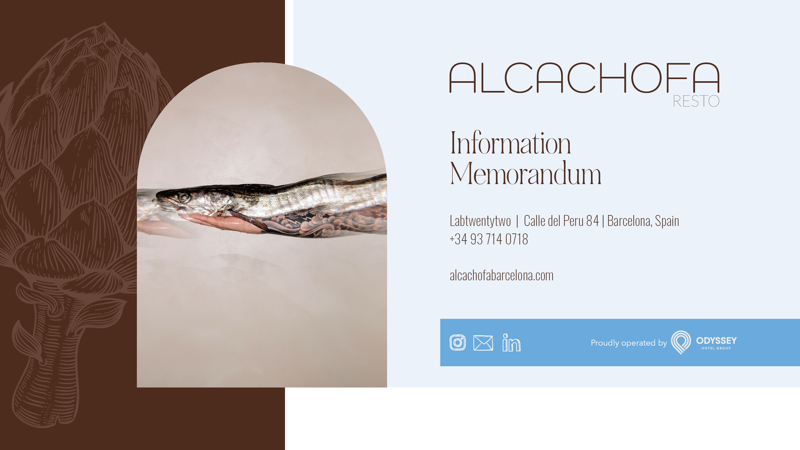 BCNTX-Alcachofa-Information Memorandum-29